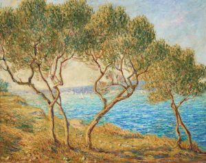 Les oliviers, effet de soleil aux Martigues