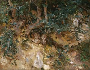 Valdemosa,Majorca – Thistles and Herbage on a Hillside