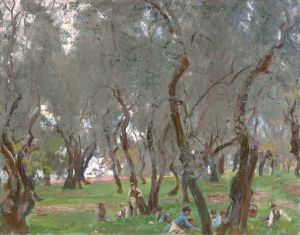 The Olive Grove