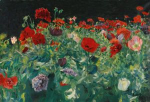 Poppies