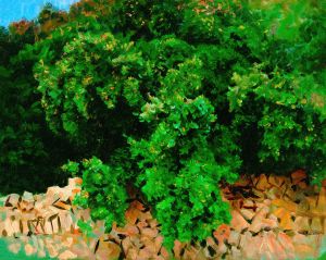 Ilex Wood. Majorca
