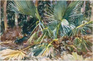 Palmettos