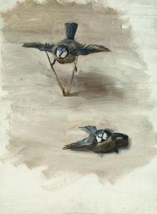 Studies of a Dead Bird