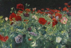 Poppies