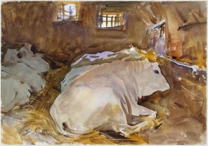 Oxen