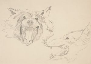 Two Views of a Wolf’s Head