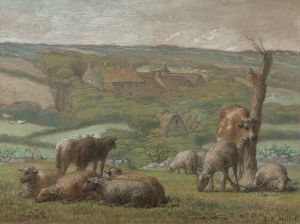 Rural landscape