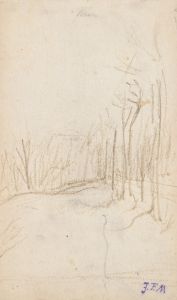 Woodland Clearing