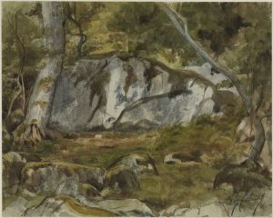 Forest with boulders