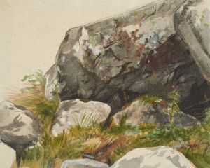 Rocky Landscape