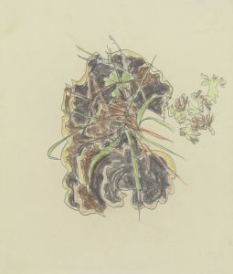 Study of plants