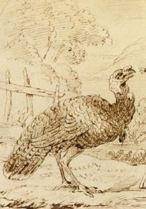 Turkey