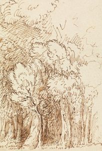 Study of Trees