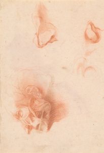 Anatomical Study, Face in Profile