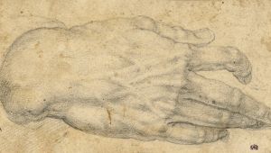 Study of a man’s right hand