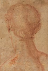 Man’s Head from the Back