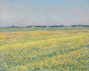 The plain of Gennevilliers, yellow fields