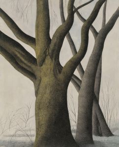 Big Tree