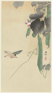 Bird at flowering bean plant
