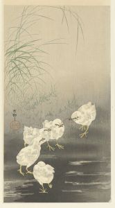 Chicks and Worm