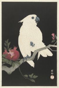 Cockatoo and pomegranate