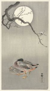 Ducks at full moon
