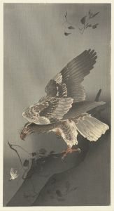 Eagle lurking for prey