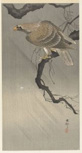 Eagle on branch