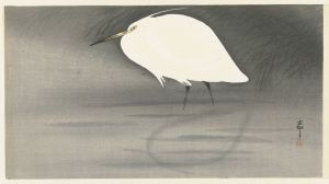 Egret.