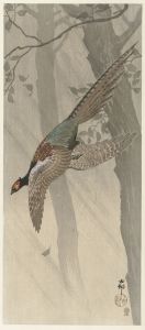 Flying pheasant