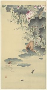 Frog and tadpoles