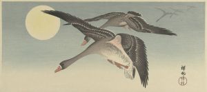 Geese at full moon