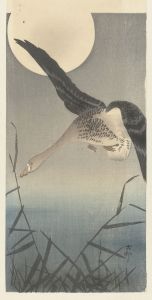 Goose