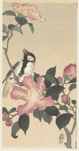 Great tit on branch with pink flowers