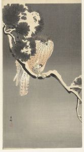 Hawk with sparrow
