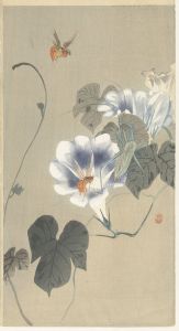 Insects at bindweed