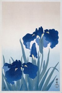 Irises
