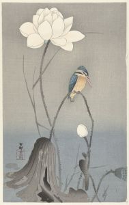Kingfisher with Lotus Flower