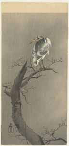 Kwak on branch