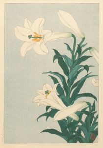 Lilies