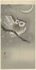 Long-eared owl in ginkgo