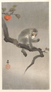 Monkey in kaki tree