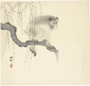 Monkey on tree branch