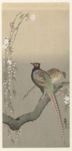 Pair of pheasants and cherry blossom