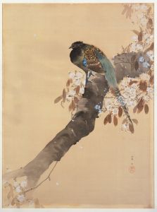 Pheasant on cherry blossom branch