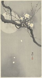 Plum blossom and full moon