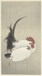 Rooster and hen