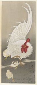 Rooster and three chicks