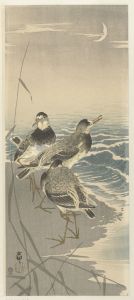 Sandpipers at sickle moon