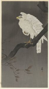 Snowy eagle on a tree branch